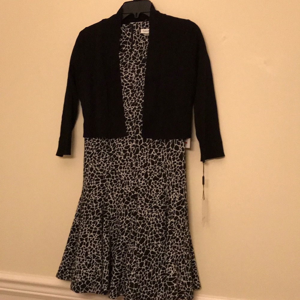 NWT Calvin Klein Women Dress & Cropped Sweater 12P